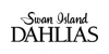 Swan Island Dahlias