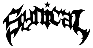 Synical Global