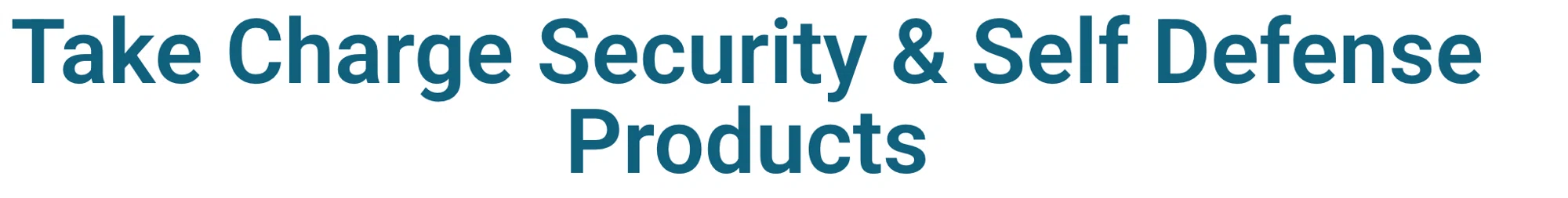 Take Charge Security