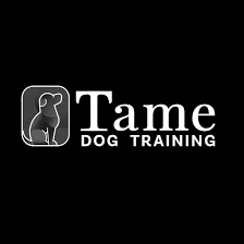 Tame Dog Training