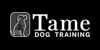 Tame Dog Training