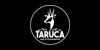 Taruca