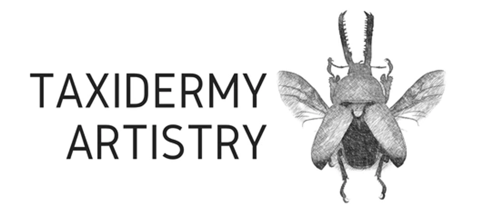 TaxidermyArtistry