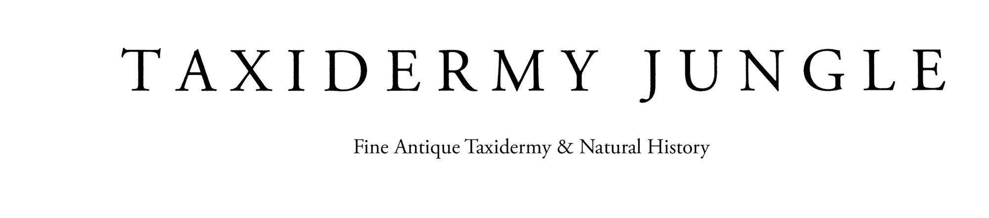 Taxidermy Jungle