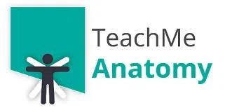 TeachMeAnatomy Logo for Discount Codes