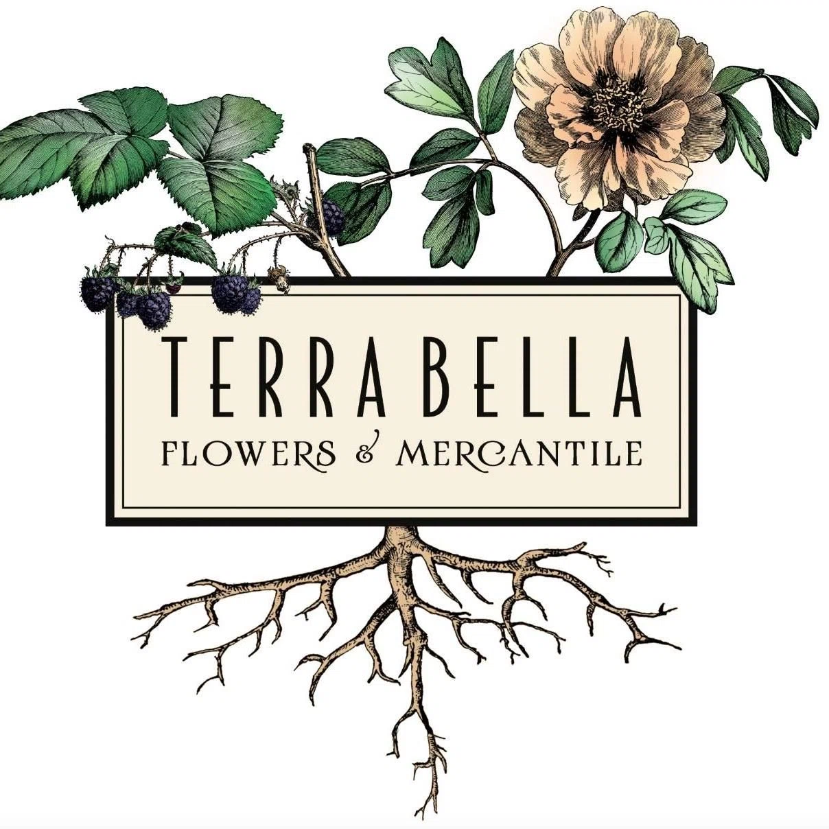 Terra Bella Flowers 