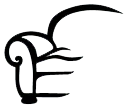 Texas Leather Interiors