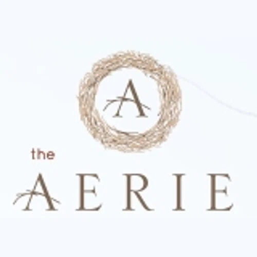 20% Off The Aerie Coupon (2 Promo Codes) October 2022