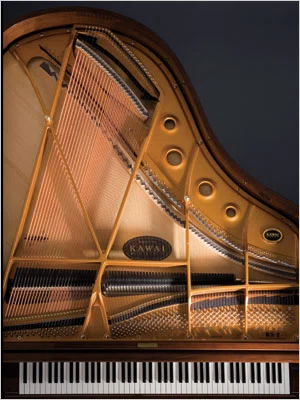 The Arizona Piano Company