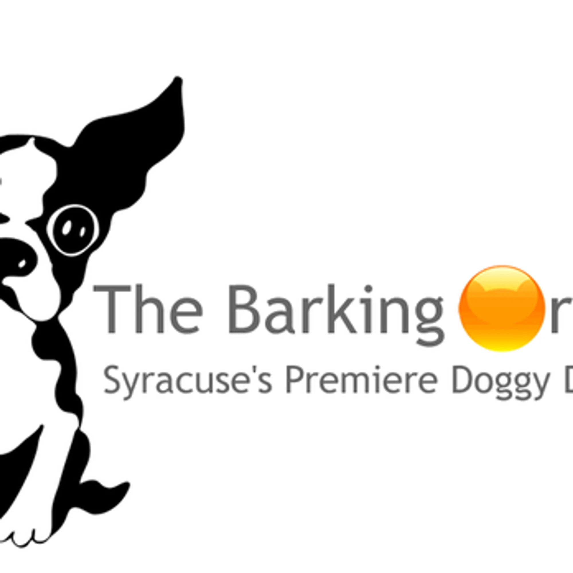 The Barking Orange