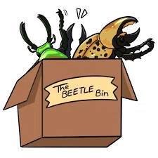 THEBEETLEBIN