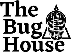 The Bug House