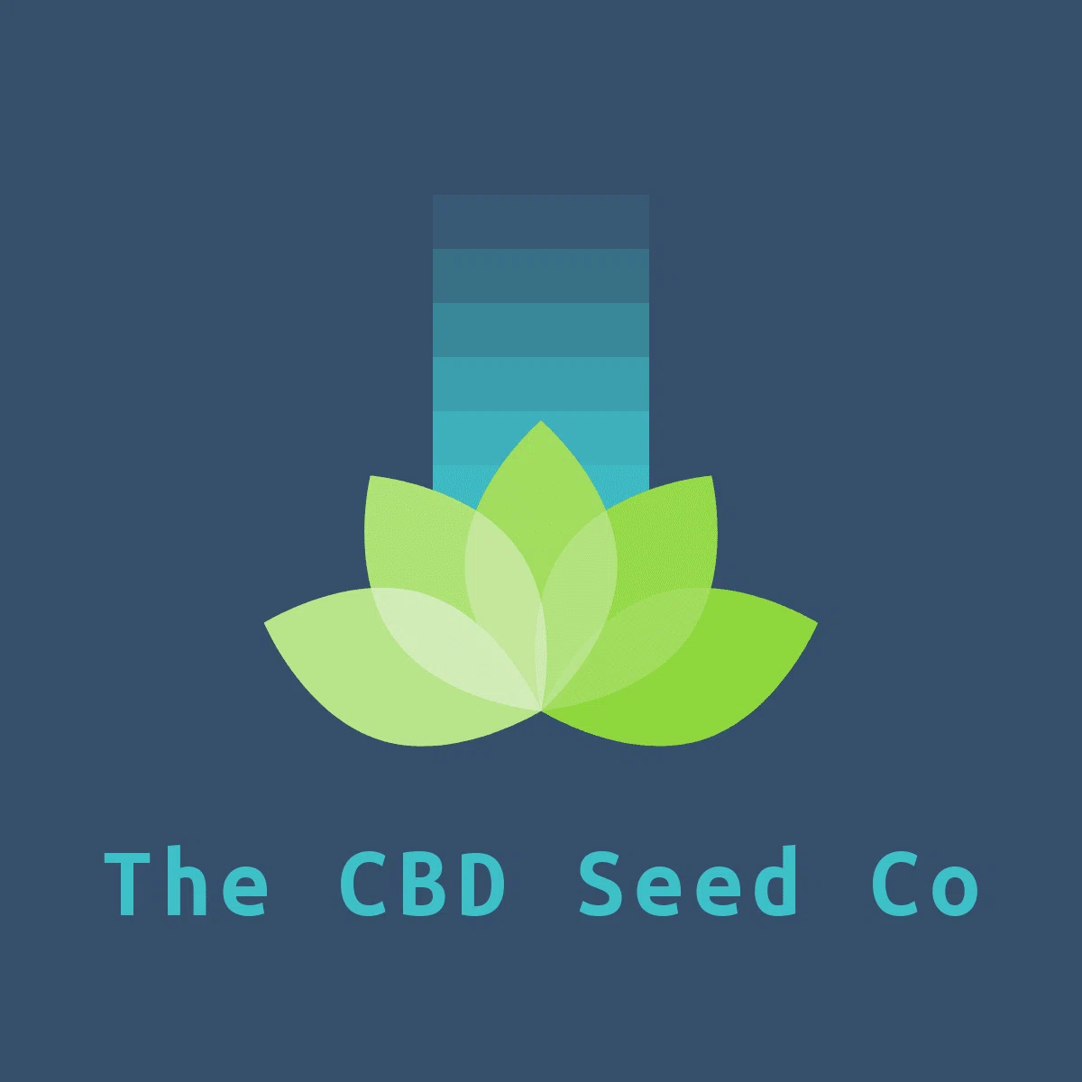 The CBD Seed Co