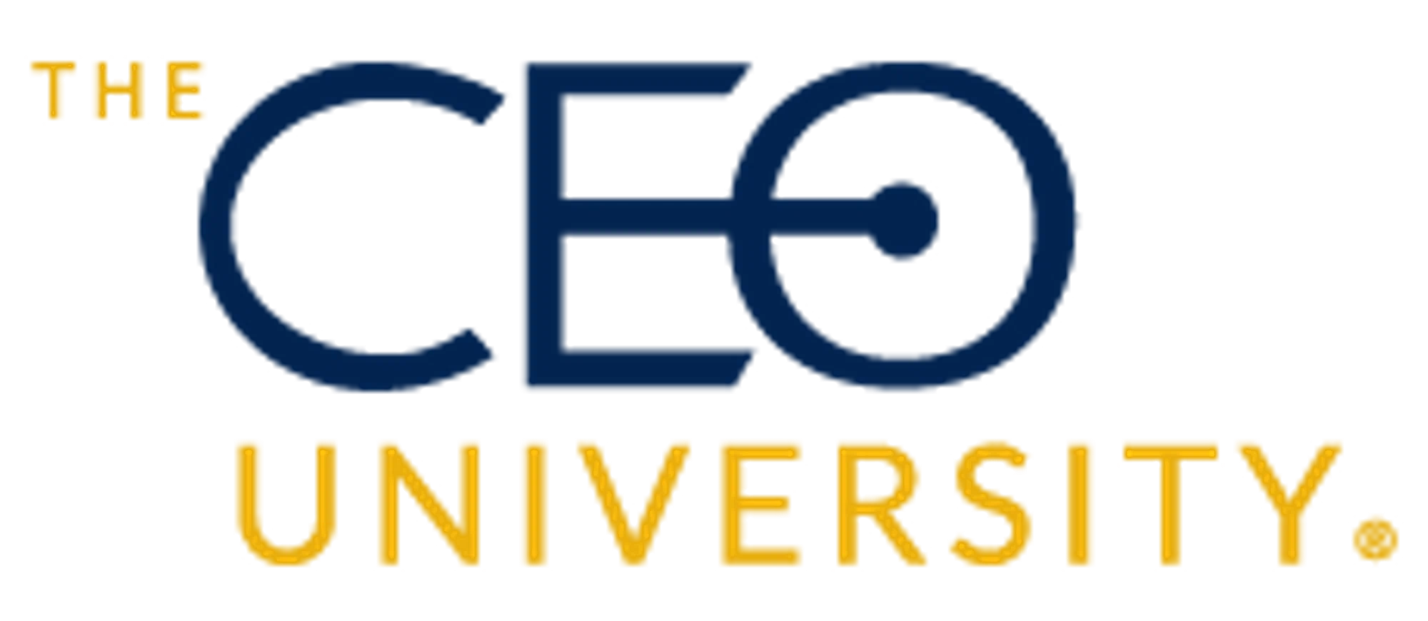 The CEO University