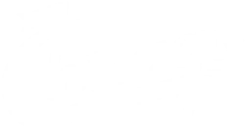 The Chicago Organ Company