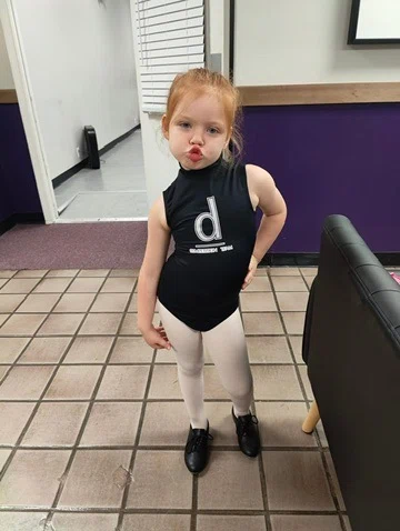 The Dance Academy