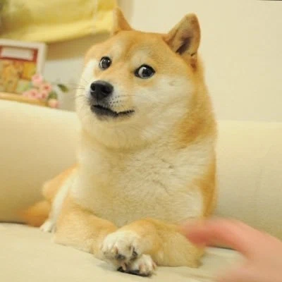 The Doge NFT