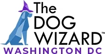 The Dog Wizard DC
