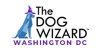 The Dog Wizard DC