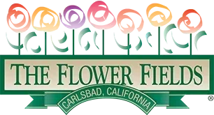 The Flower Fields