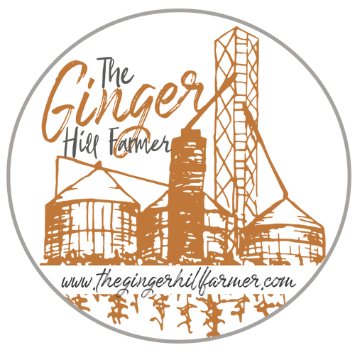 The Ginger Hill Farmer,