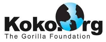 The Gorilla Foundation