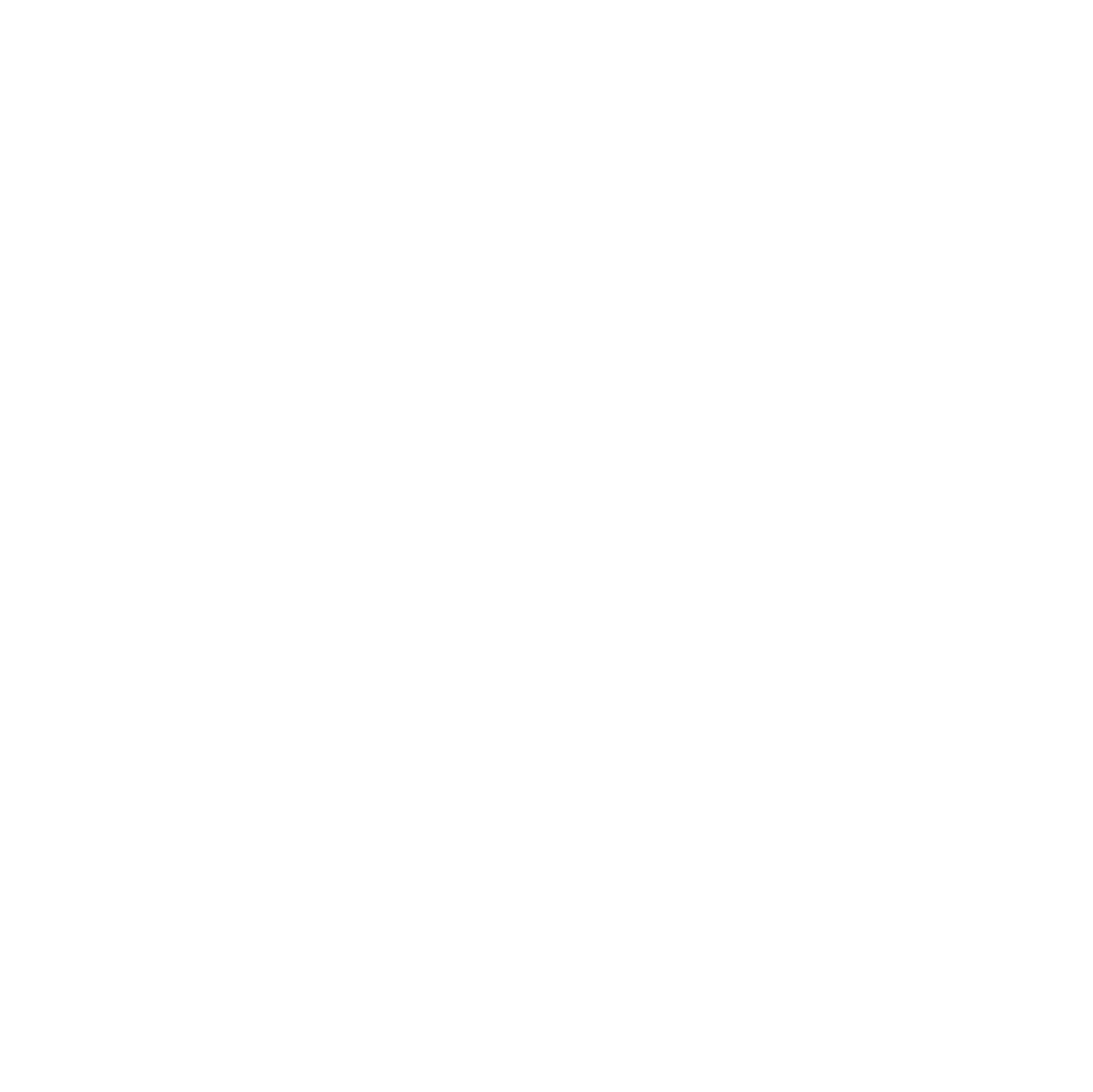 The Haitian Community