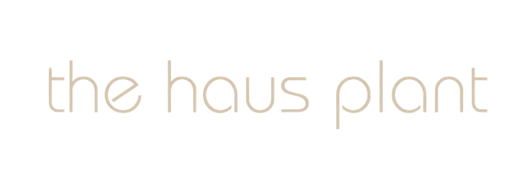The Haus Plant