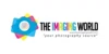 The Imaging World
