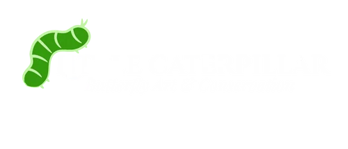 The Little Caterpillar,