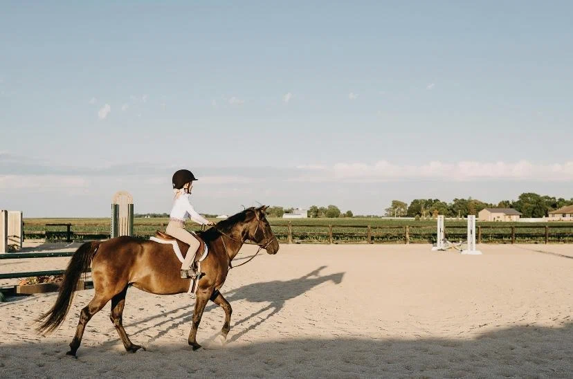 The Little Horse Girl