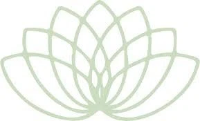 The Lush Lily Logo for Promo Codes