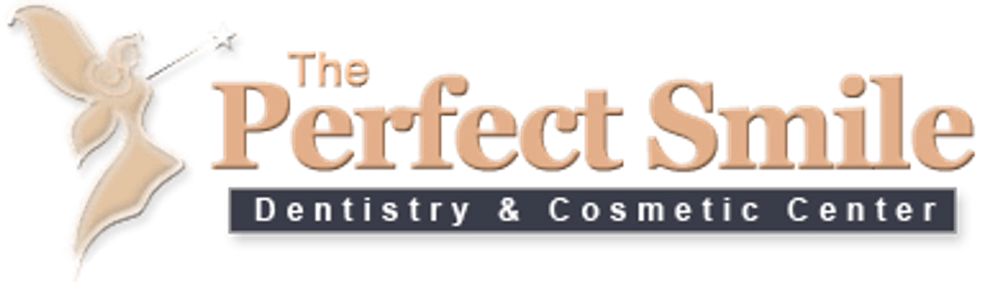 The Perfect Smile Logo for Promo Codes