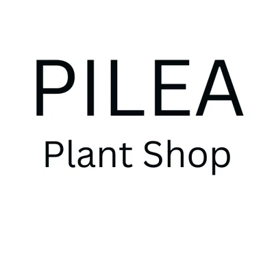 The Pilea Plant Shop