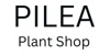 The Pilea Plant Shop