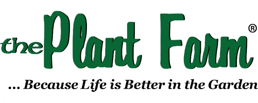 The Plant Farm