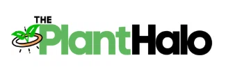 ThePlantHalo Logo for Discount Codes