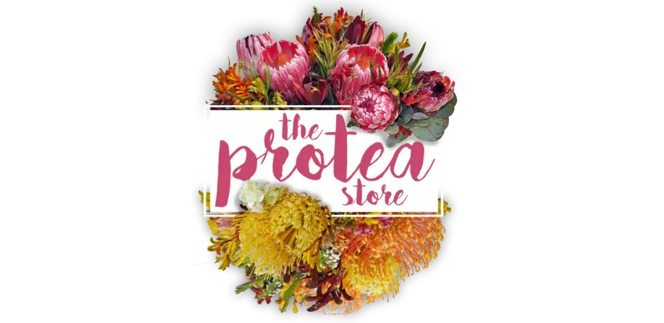 The Protea Store