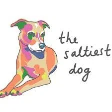 The Saltiest Dog