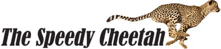 The Speedy Cheetah