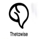 Thetawise AI