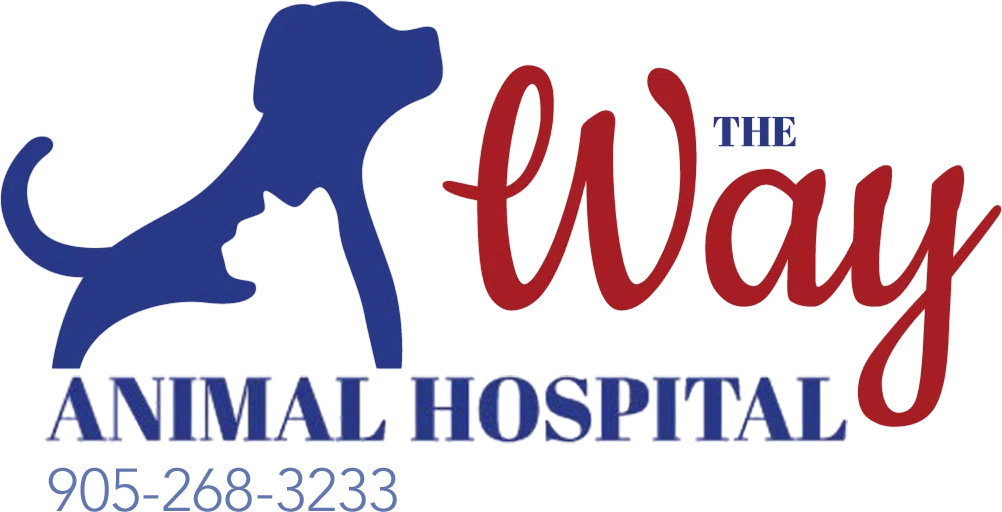 The Way Animal Hospital