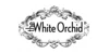 The White Orchid