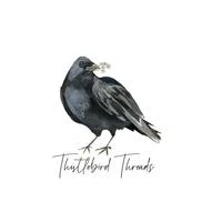 Thistlebird Threads