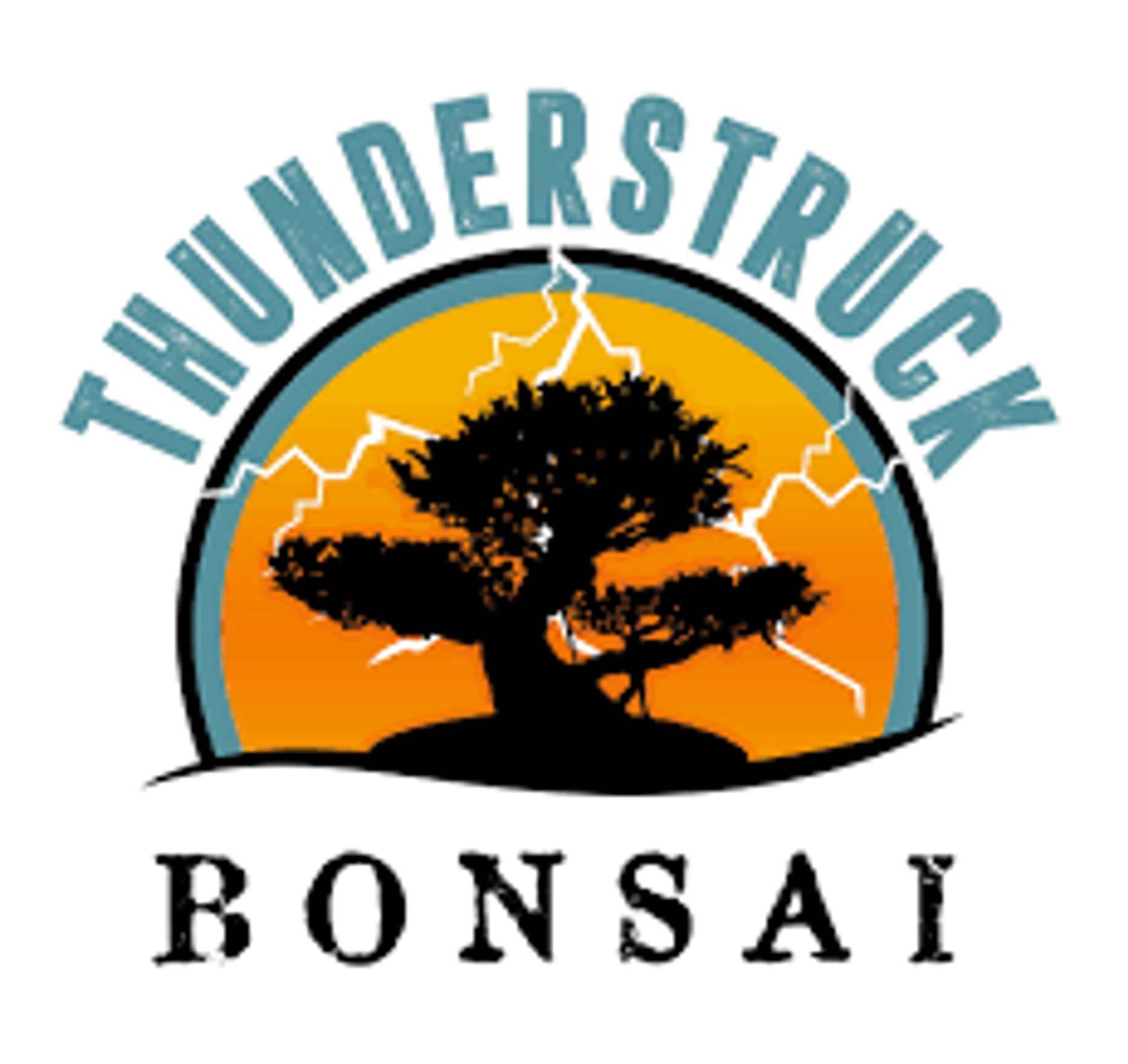 Thunderstruck Bonsai