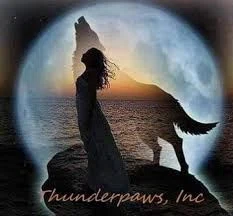 Thunderpaws Inc.