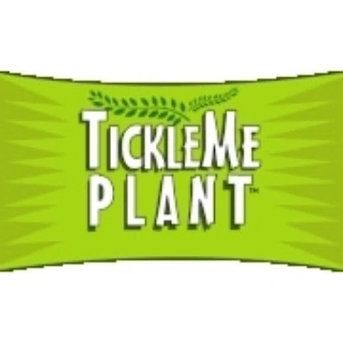 Tickle Me Plant