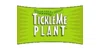 Tickle Me Plant