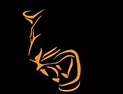 Tiger Iron Gym Logo for Discount Codes