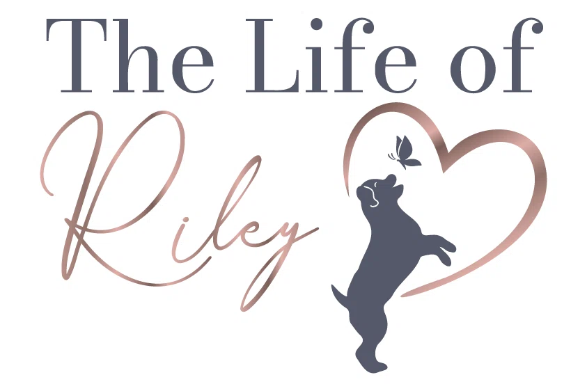 The Life of Riley Pet Care Services